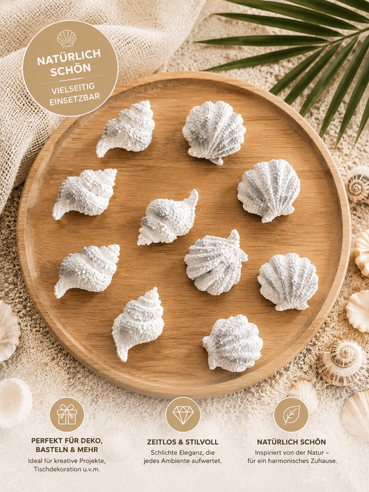 Muscheln Streugut – Maritime Deko in 3 Farbvarianten (10–50 Stück)