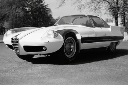 ALFA ROMEO - 6C 3000 SUPERFLOW II PININFARINA 1956 - WHITE/SILVER