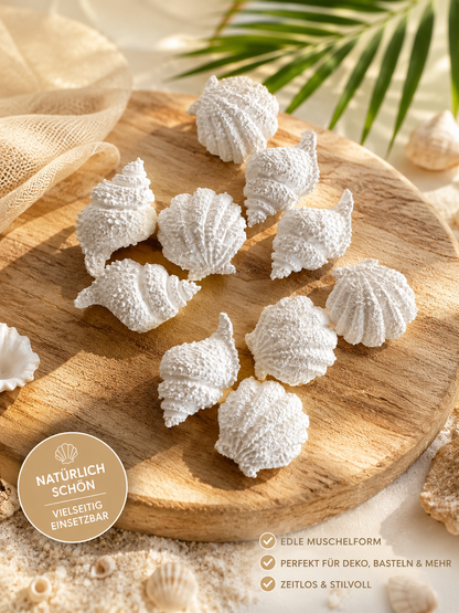 Muscheln Streugut – Maritime Deko in 3 Farbvarianten (10–50 Stück)