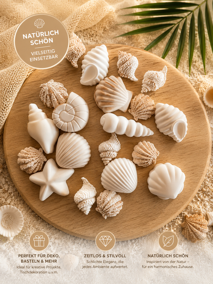 Muscheln Streugut – Maritime Deko in 3 Farbvarianten (10–50 Stück)
