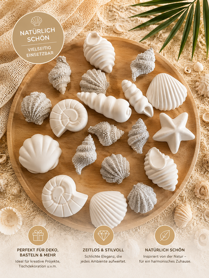 Muscheln Streugut – Maritime Deko in 3 Farbvarianten (10–50 Stück)