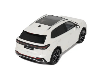 VOLKSWAGEN VW TIGUAN E TSI R-LINE ORYX WHITE PEARL L0K1 2024