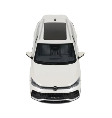 VOLKSWAGEN VW TIGUAN E TSI R-LINE ORYX WHITE PEARL L0K1 2024