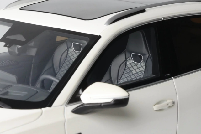 VOLKSWAGEN VW TIGUAN E TSI R-LINE ORYX WHITE PEARL L0K1 2024