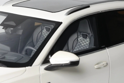 VOLKSWAGEN VW TIGUAN E TSI R-LINE ORYX WHITE PEARL L0K1 2024