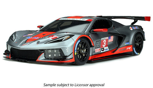 Chevrolet Corvette C8.R #3 Sebring 12h 2021 grey/red