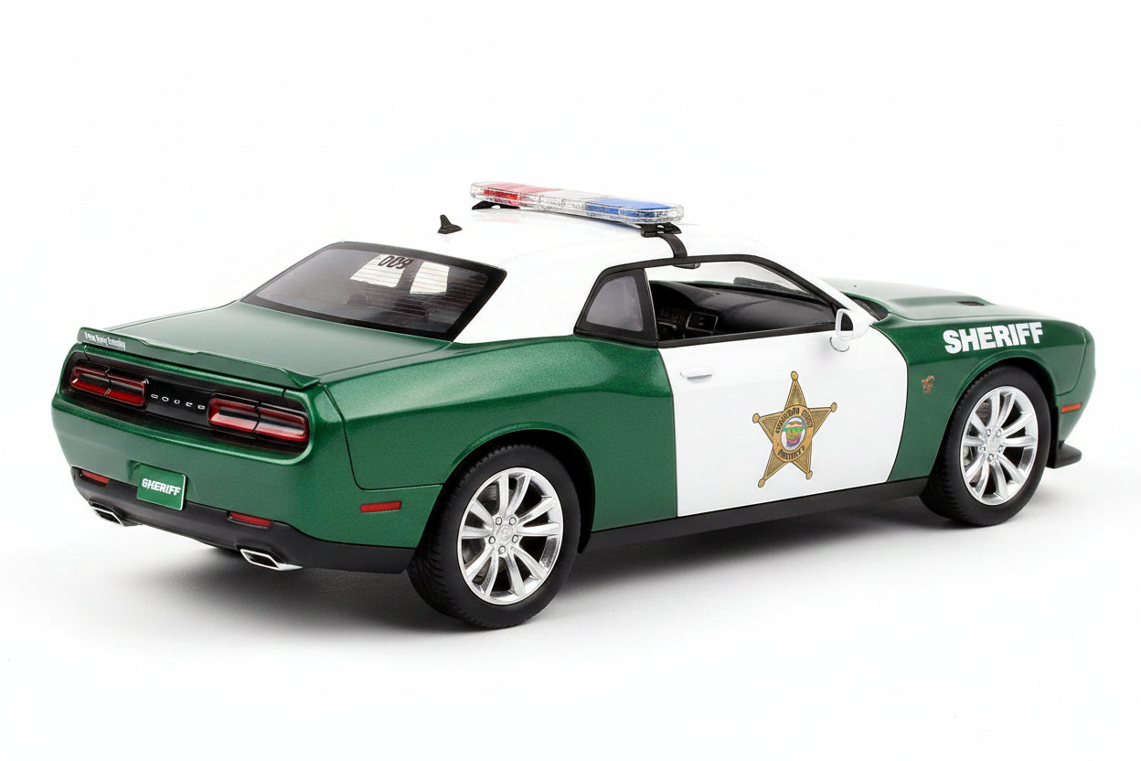 Dodge Challenger R/T 2009 *Broward County*, green/white