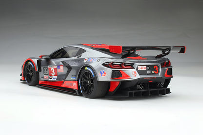 Chevrolet Corvette C8.R #3 Sebring 12h 2021 grey/red
