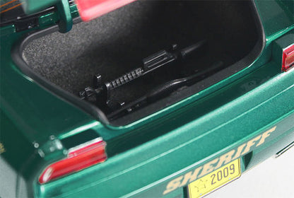 Dodge Challenger R/T 2009 *Broward County*, green/white